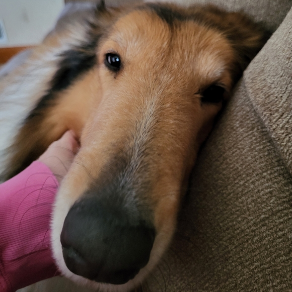 PLSreadBEFOREbuying! - Picture 14 of 16